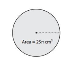 What is the circumference of the circle?-example-1