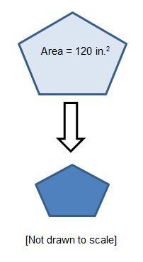 The pentagon below has been reduced by a scale of 0.5. A pentagon with an area of-example-1