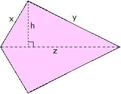 PLEASE HELP ME!!!!! The object above is symmetrical through z. If x = 8 inches, y-example-1