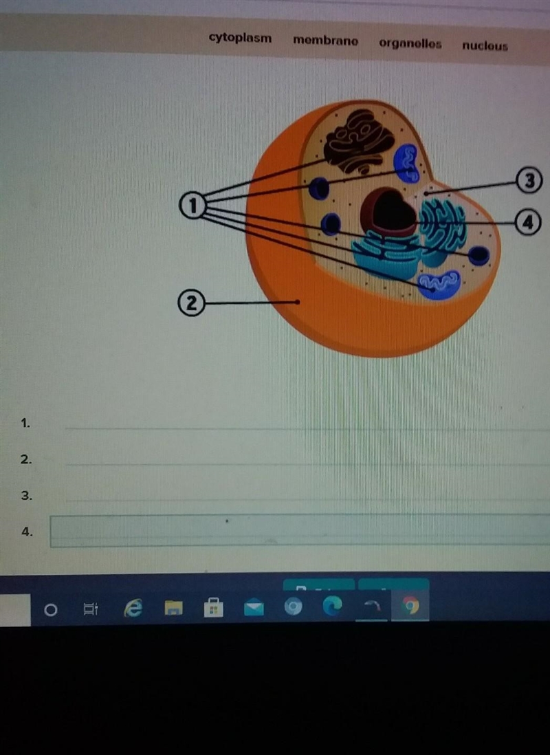 PLZZz help me out this is due today and need correct answer plz!!!also no spam answers-example-1