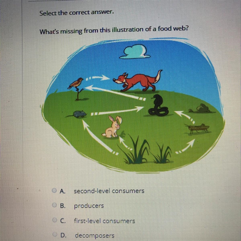 What's missing from this illustration of a food web?-example-1