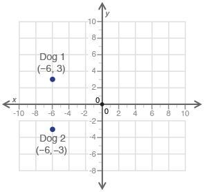 Points (−6, 3) and (−6, −3) on the coordinate grid below show the positions of two-example-1