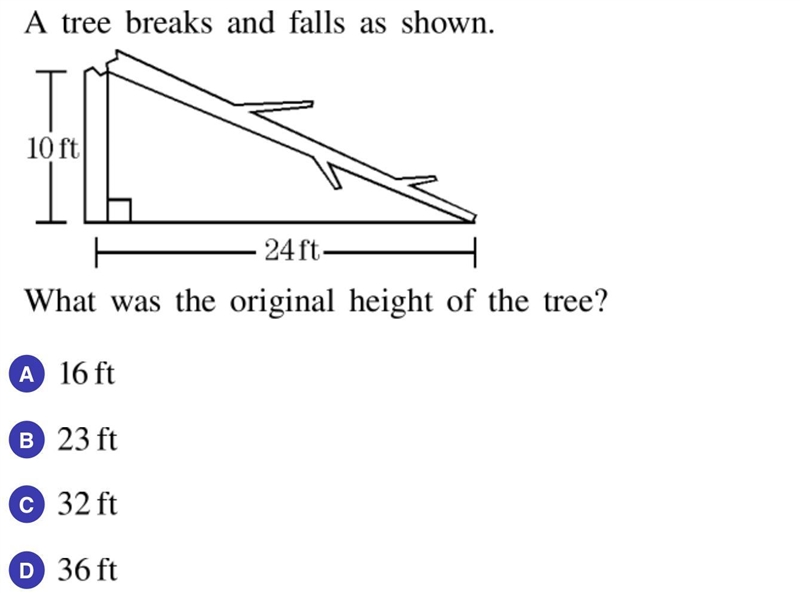 I need help asap pls help me-example-1