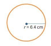 What is the circumference of the circle?use 3.14 for pi a.20.096 b.40.192 c.200.96 d-example-1