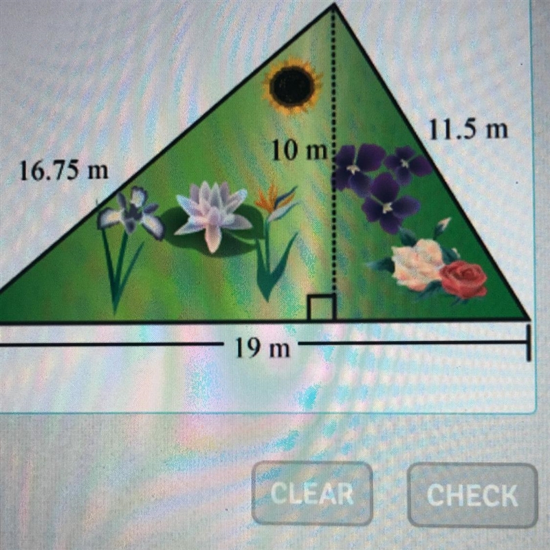 PLEASEEEE HELPPP!!!! You need to buy new soil for your garden. Find the area of the-example-1