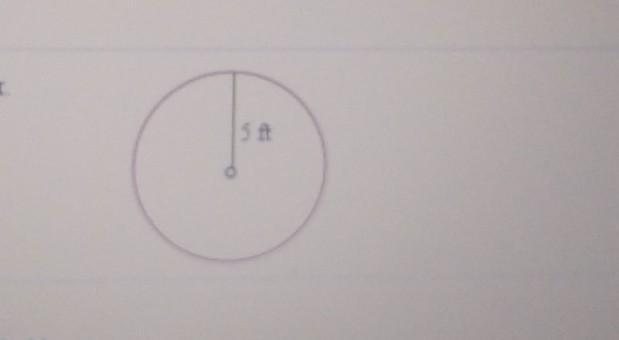 Find he area of this circle Use 3.14​-example-1