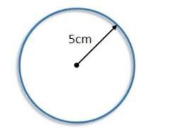 What is the Circumference of this circle? Hint: Use the formula A = 2 x pi x r. * A-example-1