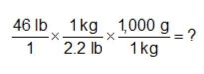 Explain the steps you would take to complete this conversion problem.-example-1