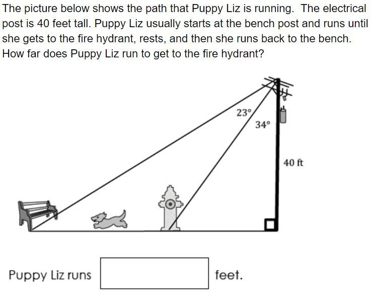 the picture below shows the path that puppy Liz is running. The electrical post is-example-1