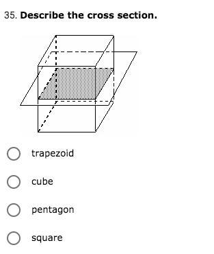 Describe the cross section.-example-1