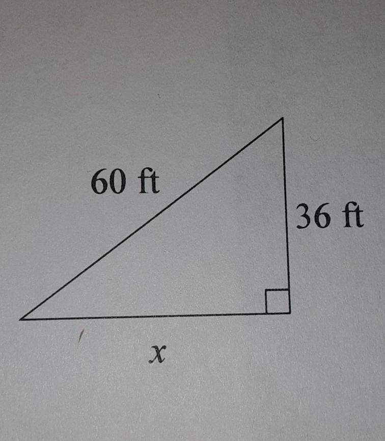 Pythogorean theorem ​-example-1