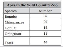 What percent of the apes in the Wild Country Zoo are orangutans?-example-1