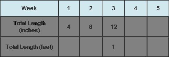 Please I need to answer this question!Using a Ratio Table A scientist measures the-example-1