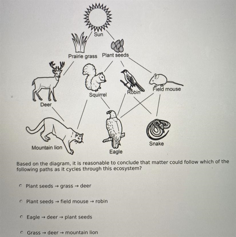 Matter could be follow which of the following paths as it cycles through this ecosystem-example-1