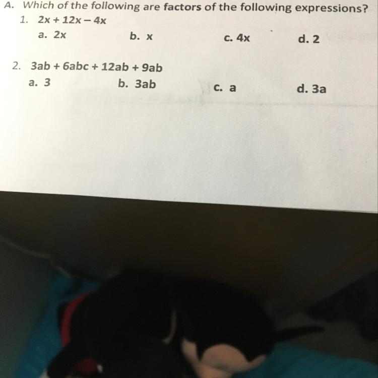 Which of the following are factors of the following expressions?-example-1