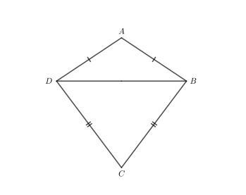 Amanda wants to fly a kite. The kite is composed of two isosceles triangles, ΔABD-example-1