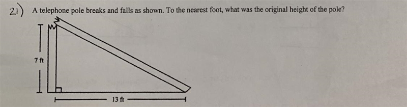 Find the original height of the tree, explain-example-1