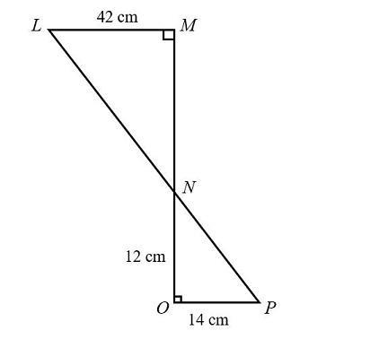 If ΔLMN ~ ΔPON, what is MN?-example-1