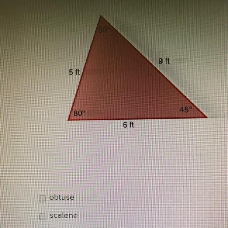 Select the term that does not describe the triangle. Select all that apply.-example-1