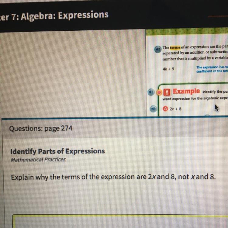 Explain why the term of the expression are 2x and 8 not x and 8?-example-1