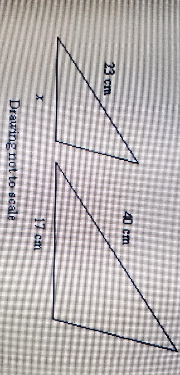 The pair of figures is similar. find x. round to the nearest tenth if necessary. A-example-1