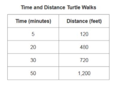 The table represents a relationship between the time a turtle walks and the distance-example-1