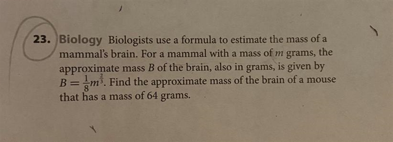 Please help me please-example-1