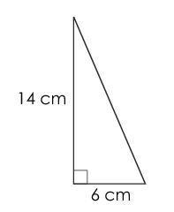 Lola and Javier have come to different conclusions about the area of this triangle-example-1