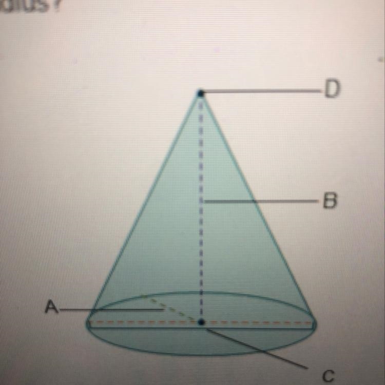 Which label on the cone below represents the radius? A В С D D-example-1