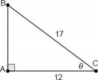 Determine the measure of ∠θ using a trigonometric ratio. ANSWERS: A) 45.10° B) 1.00° C-example-1