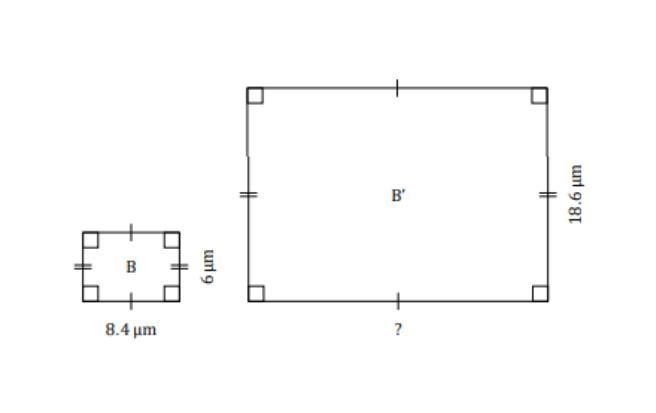 Round to the nearest Tenth.-example-1