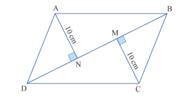 In parallelogram ABCD, DB =28 cm. AN and CM are perpendicular to BD. AN = CM =10 cm-example-1