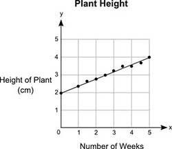 PLEASE ANSWERRRRRRRRRR The graph shows the heights, y (in centimeters), of a plant-example-1