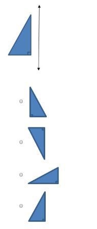 Which image is a reflection of the right triangle shown over the given line of reflection-example-1