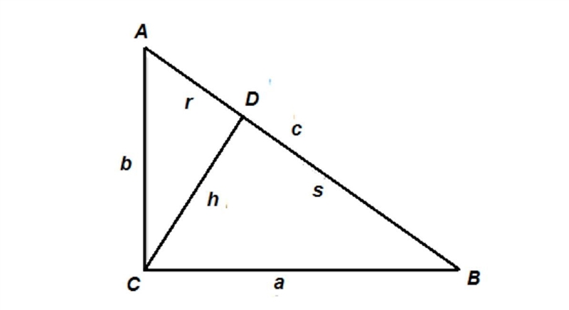 In the figure shown, ABC is a right triangle with side lengths a, b, and c, and CD-example-1