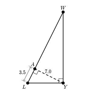 Find the length of LW. If entering your answer as a decimal, round your final answer-example-1