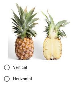 Is this a vertical or horizontal cross sectional area?-example-1