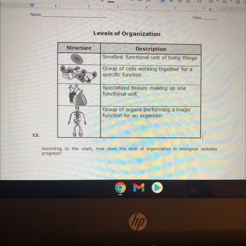 Levels of Organization Structure Description Smallest functional unit of living things-example-1