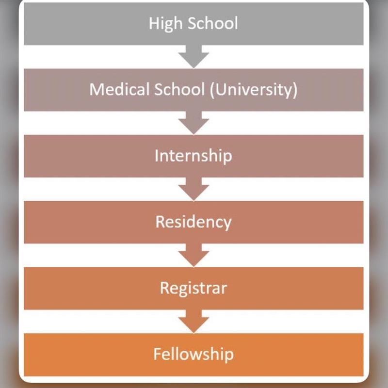 How one becomes a doctor in United States ? explain step by step...​-example-1