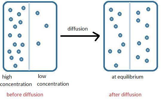 A faculty member asks a student to identify the appropriate term for the movement-example-1