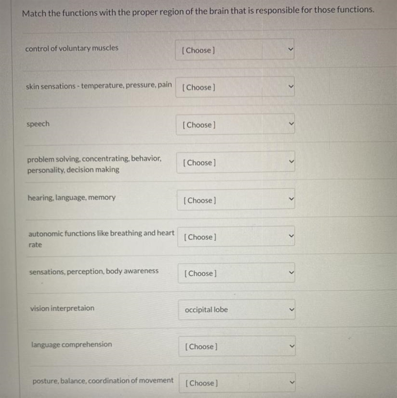 Match the functions with the proper region of the brain that is responsible for those-example-1