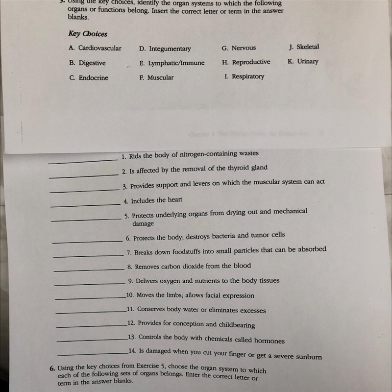 Help match the organ systems to their function please-example-1