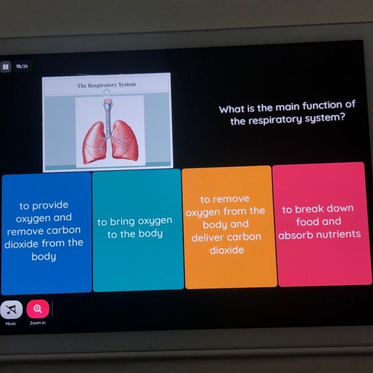 What is the main function of the respiratory system?-example-1