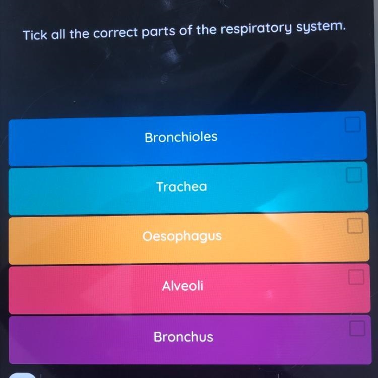 Tick all the correct parts of the respiratory system.-example-1