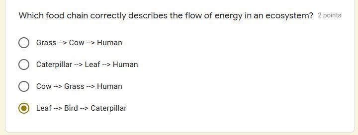 Help pls its urgent XD FREE 70 POINTS-example-1