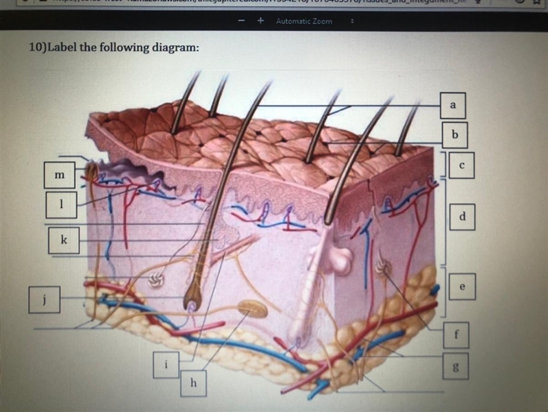 This is for medical and I don’t know what m is-example-1