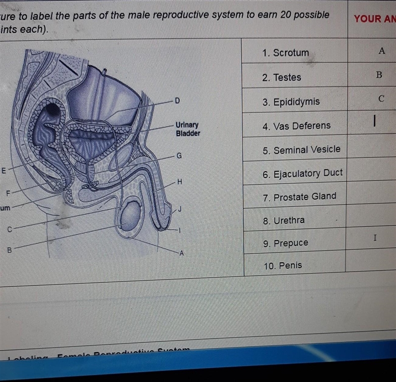 Some understand that can help me ​-example-1