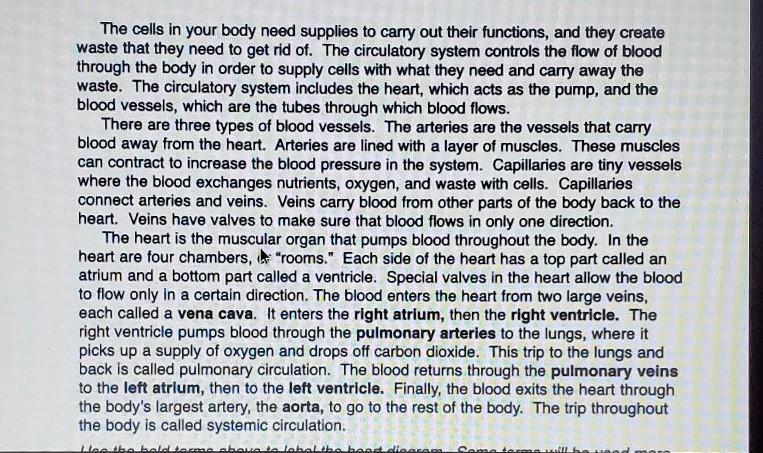 Creative Writing Pretend that you have been shrunk to microscopic size and placed-example-1