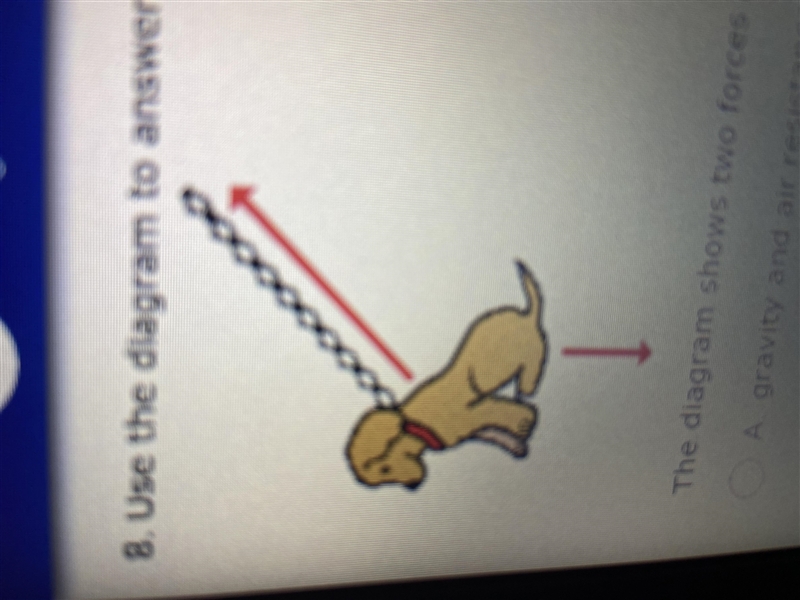 The diagram shows two forces acting on the dog. What are these two forces-example-1