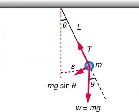 what force or acceleration causes the pendulum to speed up on the way down and slow-example-1